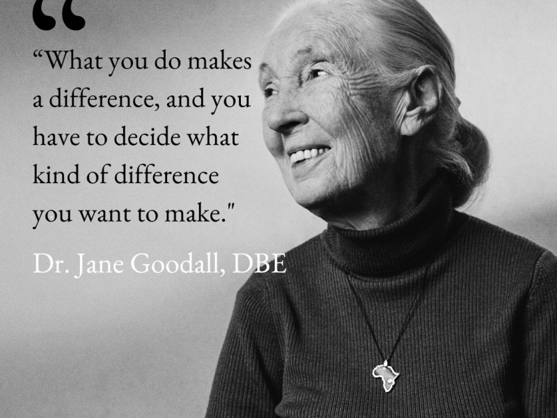 Jane Goodall: Inspiring Future&nbsp;Generations